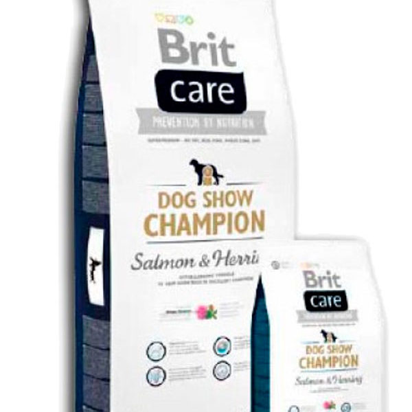 Brit Care Grain Free Adult Champion Salmon y Arenque