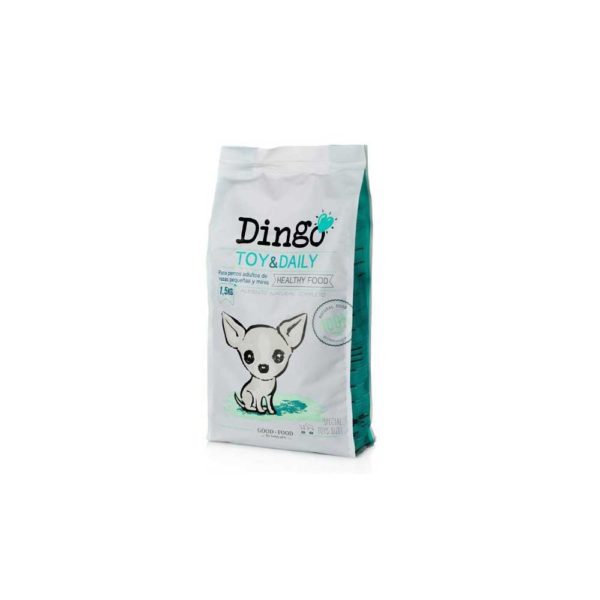 dingo toy & daily