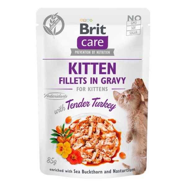 Brit care cat pouch kitten pavo