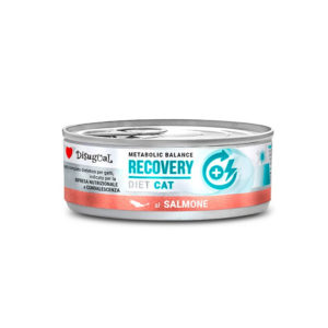 Disugual Diet Cat Recovery Salmon