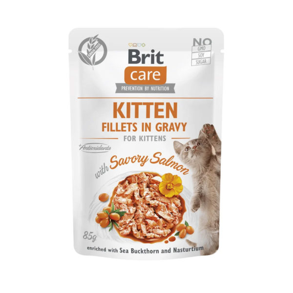 Brit Care Cat Kitten Filetes de Salmón en salsa 85gr