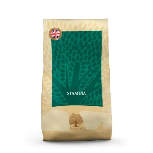Essential Foods British Welfare Stamina para Perros
